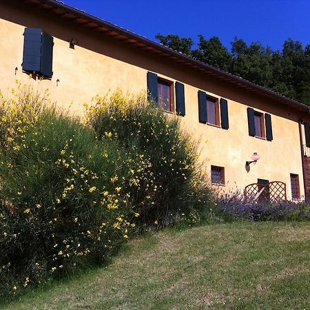 B&B Cal Torello Urbino Exterior foto